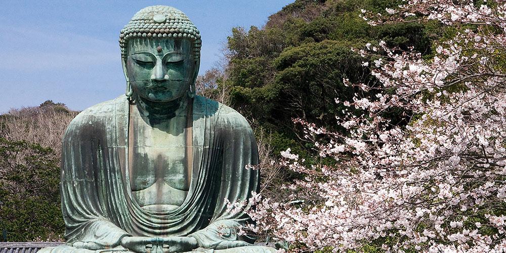 鎌倉市で迅速対応！不用品回収から家具処分までサポートします