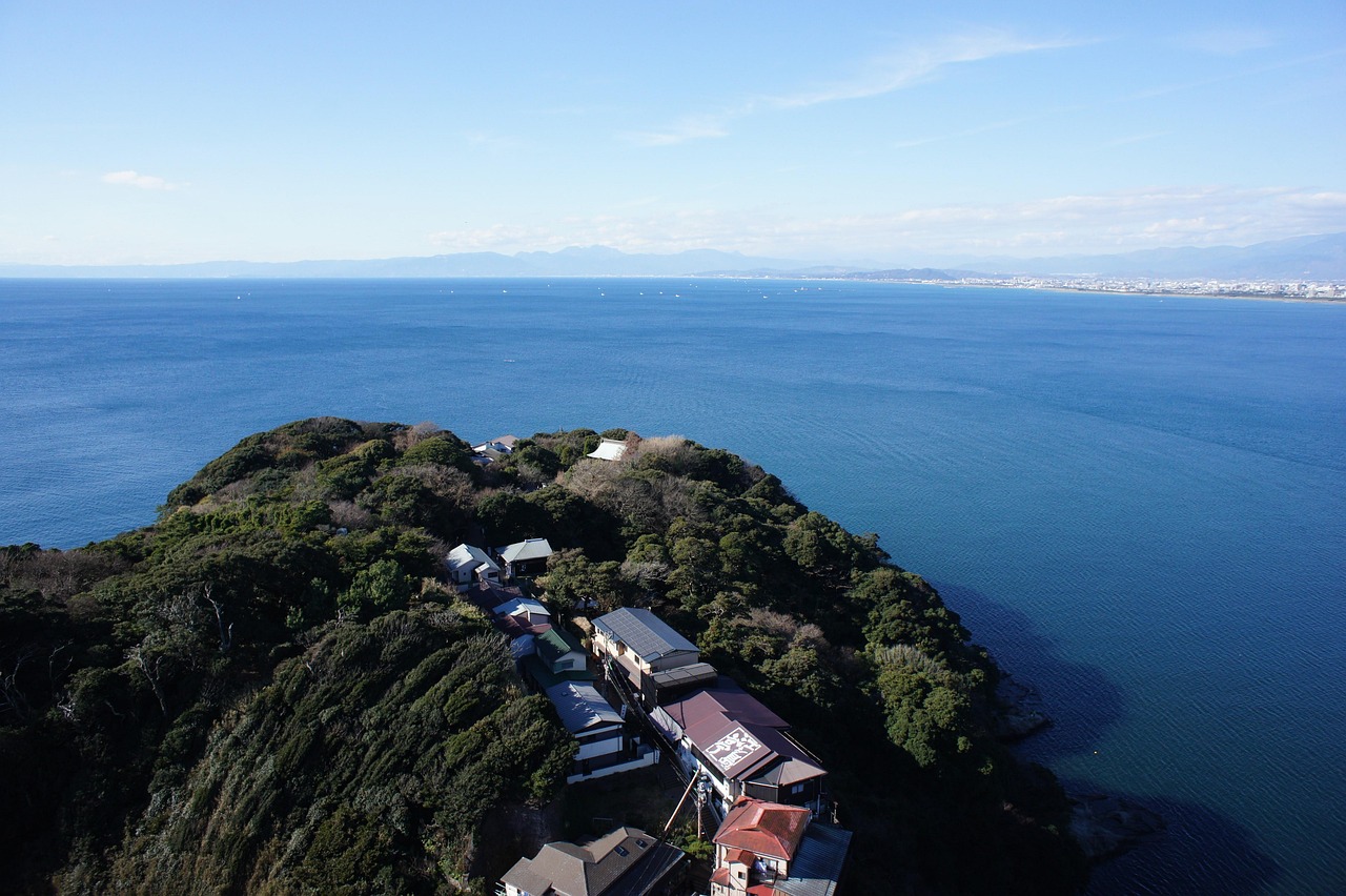 藤沢で即日対応！生前整理のプロフェッショナルがあなたの大切な空間を整えます