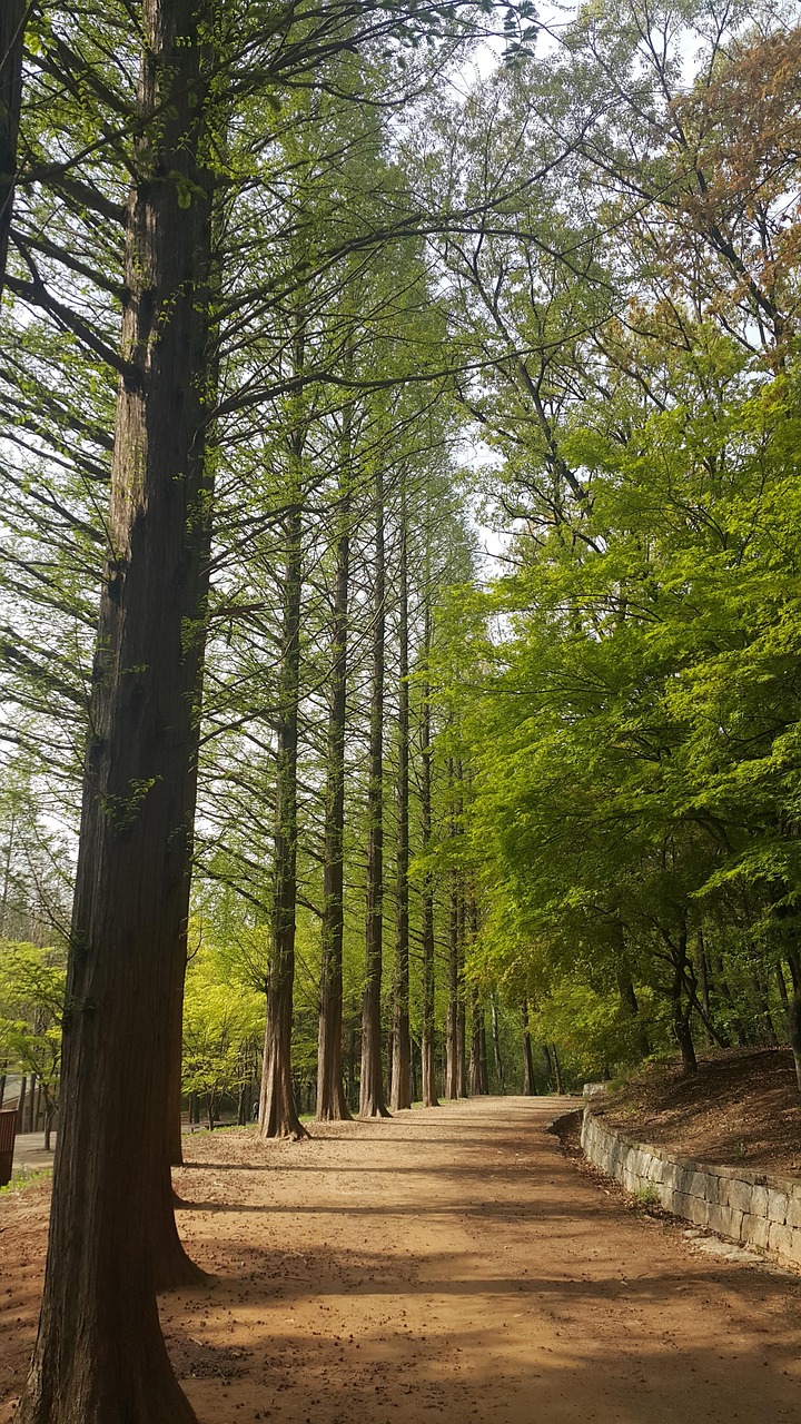 リサイクル業者としての使命